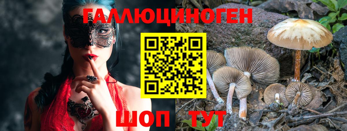 Галлюциногенные грибы GOLDEN TEACHER  Вход с VPN  Галлюциногенные грибы мицелий  Печора 